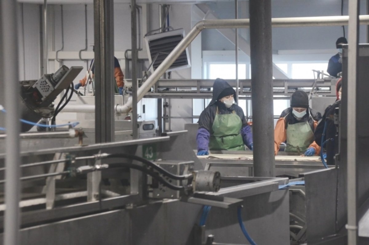    Камчатка стала лидером в стране по темпа промышленного производства