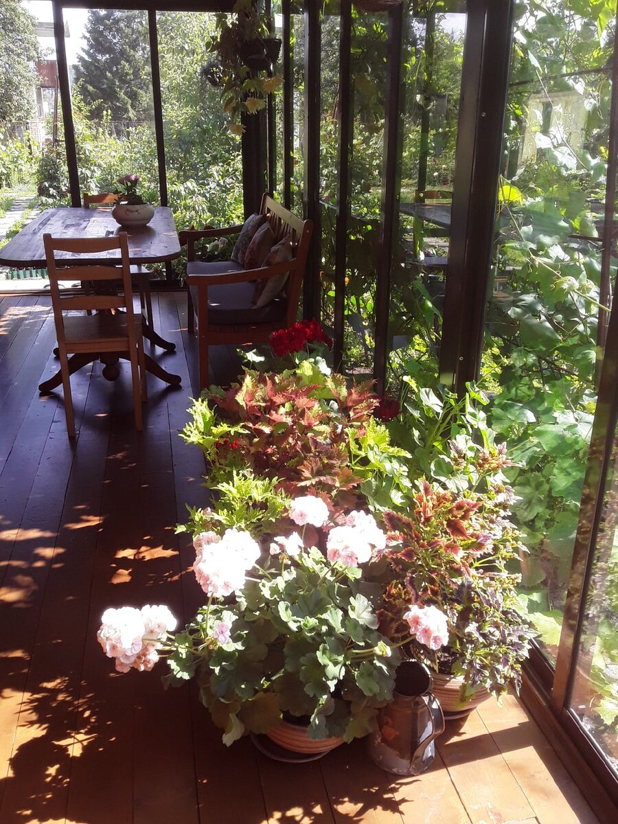 Веранда одновременно исполняет роль двора и гостиной. 