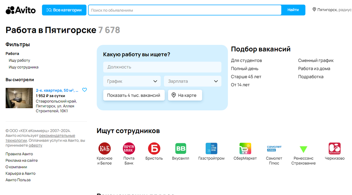 Пустой или "вылизанный" профиль на Авито. Кому больше доверяют? Любительница сай