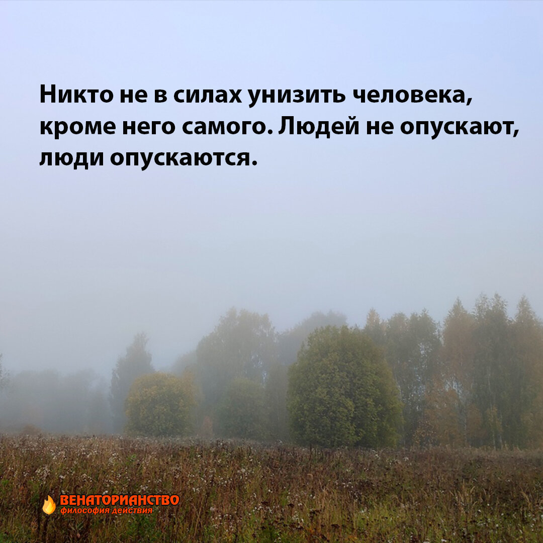 Самое святое: как ты поступишь, если кто-то оскорбит твою мать? Реальная  история и психологический разбор | Охотник за Мечтой | Дзен