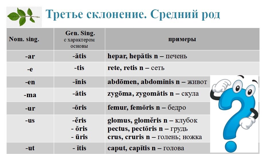 Исключение среднего рода