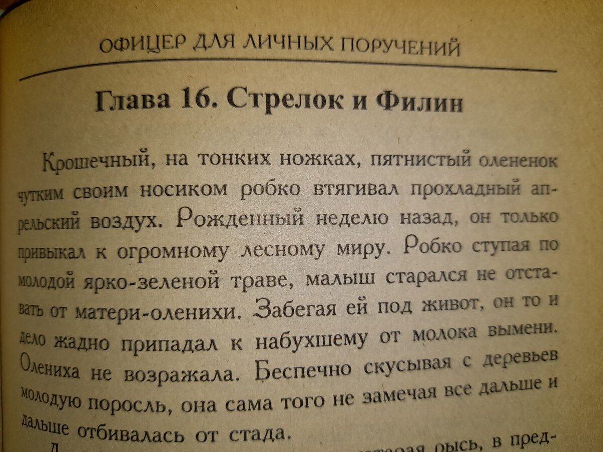 ОФИЦЕР ДЛЯ ЛИЧНЫХ ПОРУЧЕНИЙ глава 16 | Археология+ | Дзен