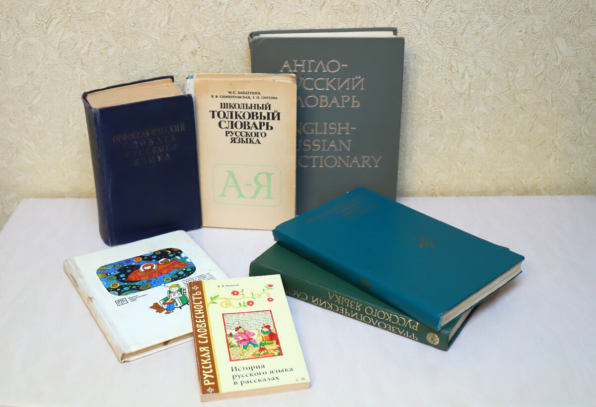 Словари были единственным способом узнать правила языка и не наделать ошибок.