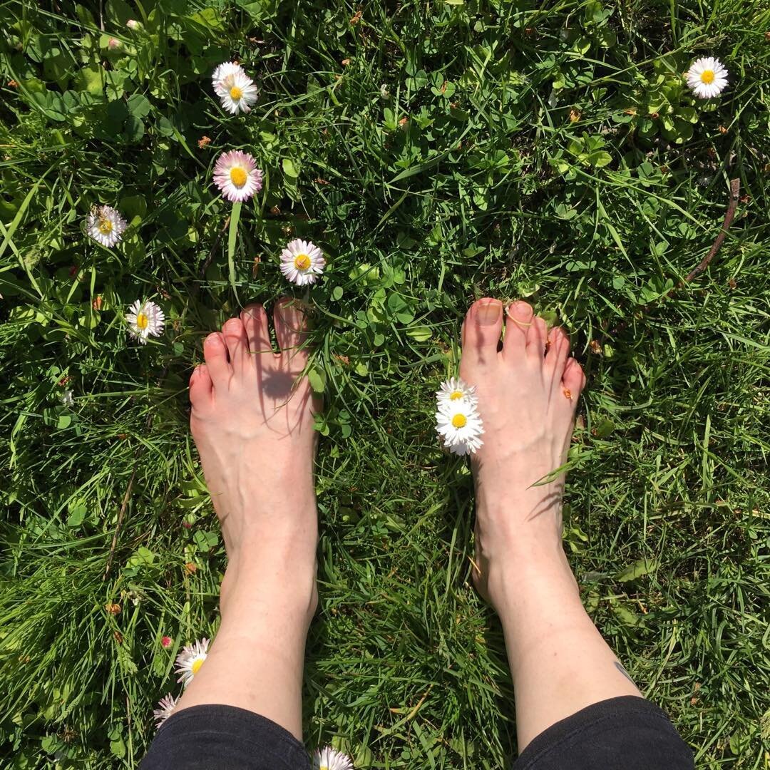 ЯНДЕКС КАРТИНКИ