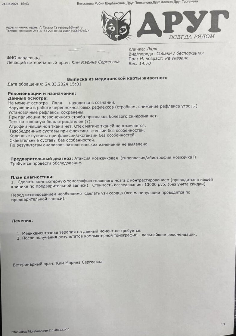 Вчера свозили Лялю в Пермскую клинику, обратно возвращать хозяевам не стали  | Джим ЧУСОВОЙ | Дзен