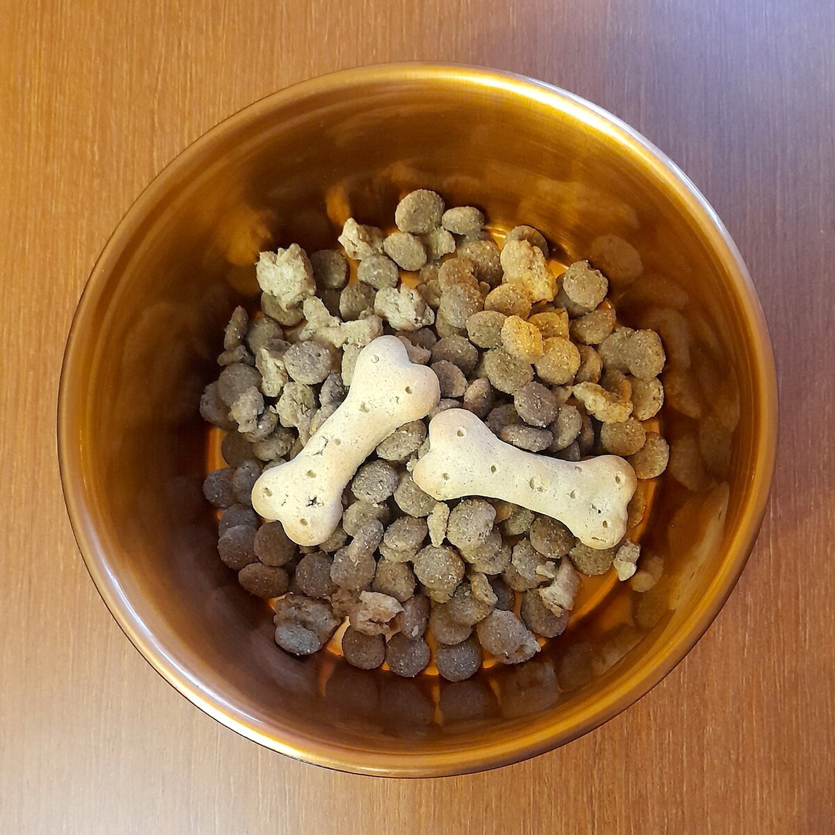 Миска с кормом. ото из личного архива