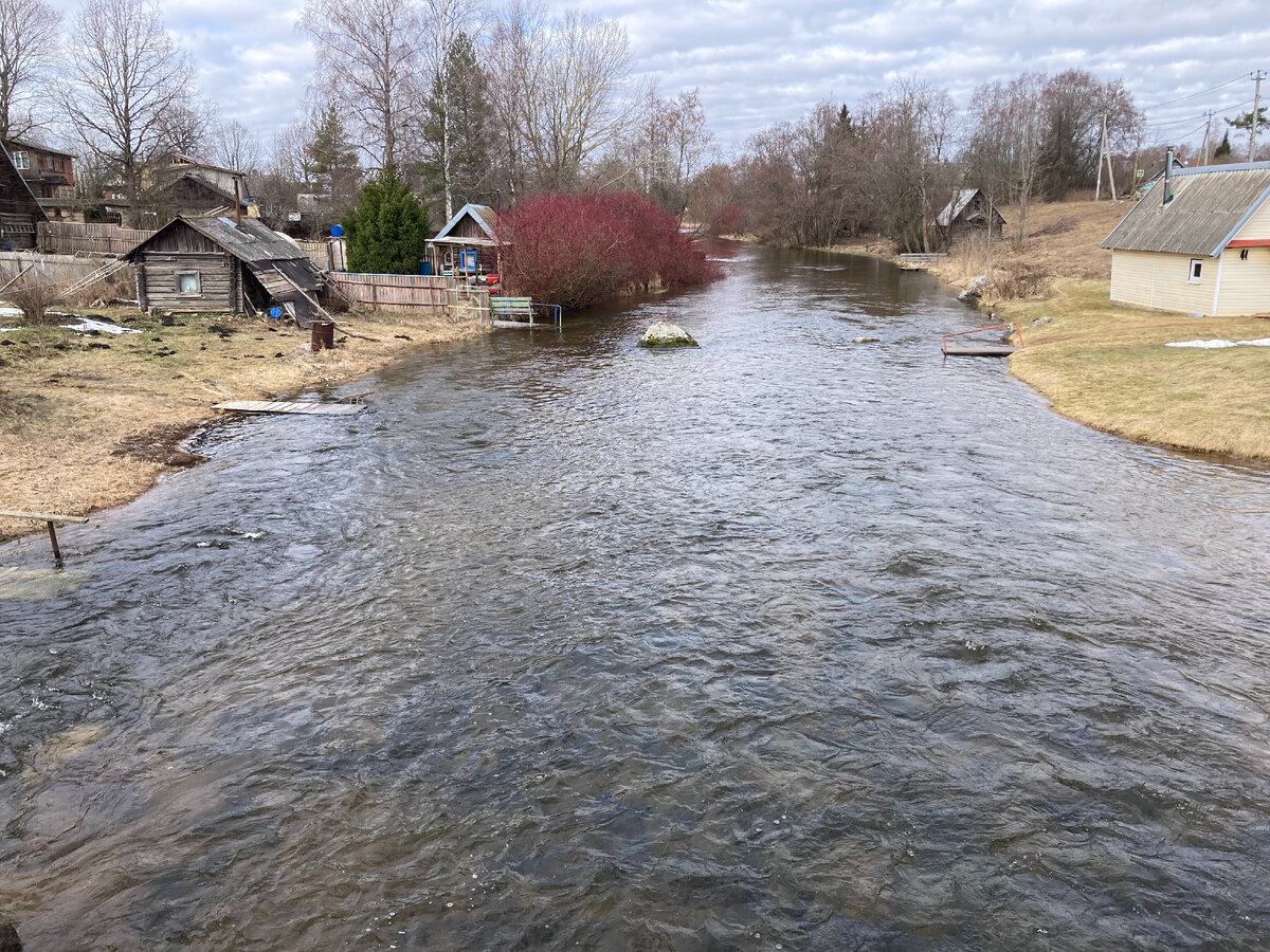 В деревне. В статье все фотографии автора