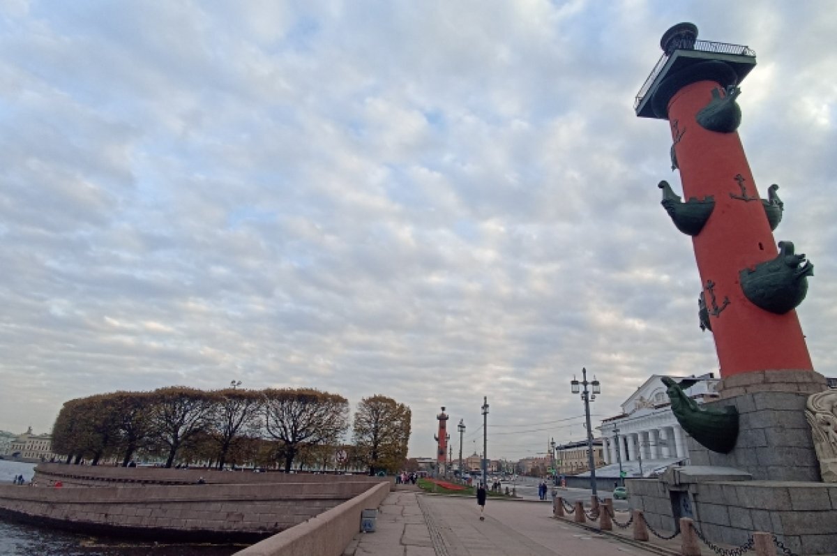    Дожди и холод начнут уходить из Петербурга в середине недели