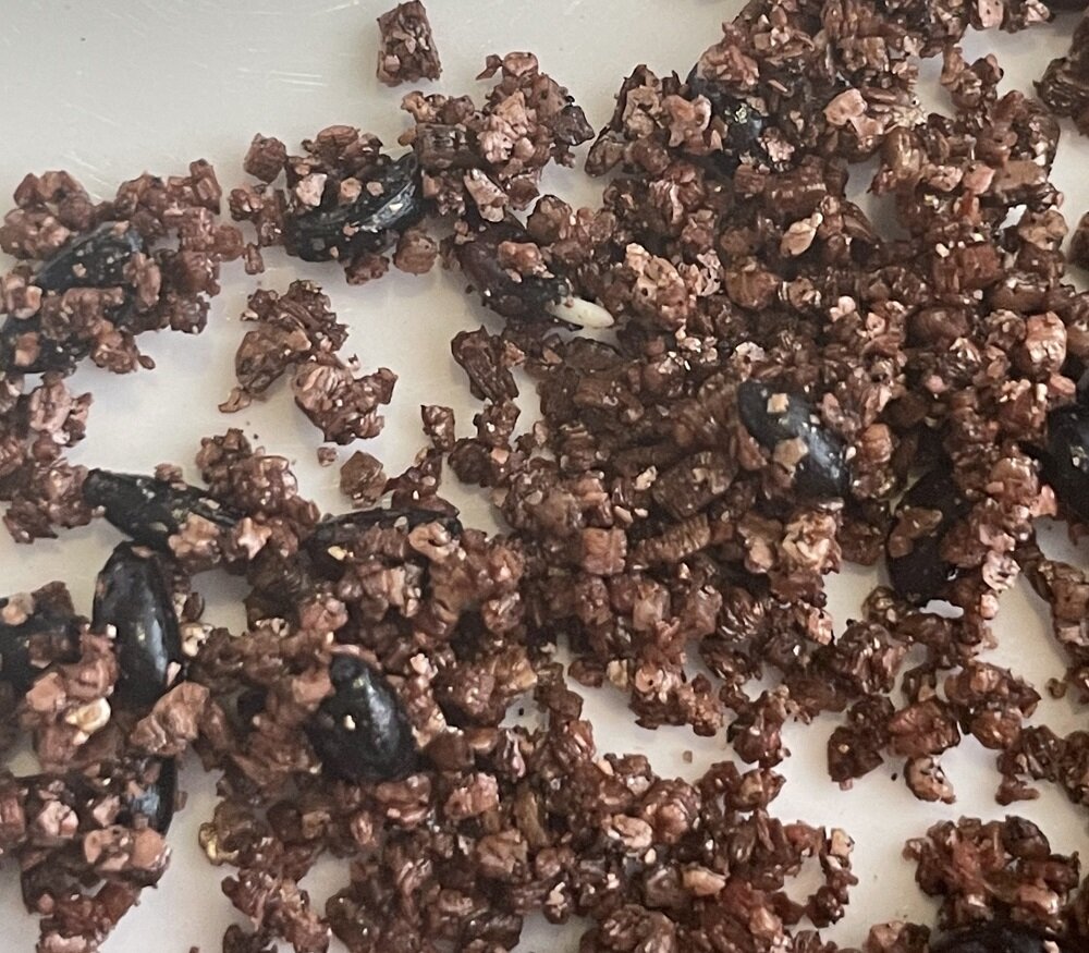 Семена магонии прорастают после стратификации в вермикулите