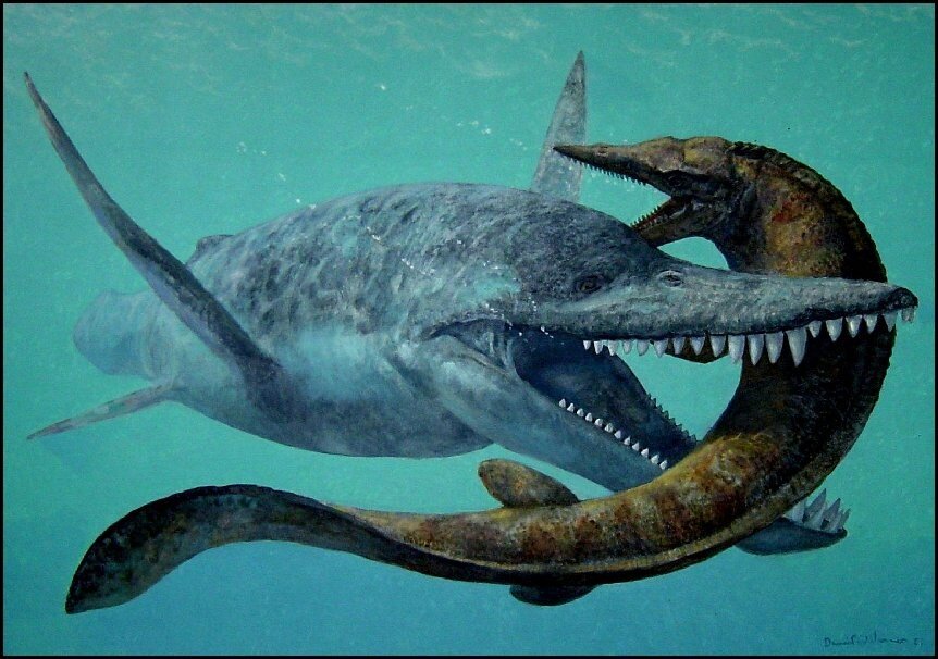 Брахавехний нападает на своего заклятого врага - Мозазавра, пусть это и не гигантский Мозазавр Гоффмана, но тем не менее.