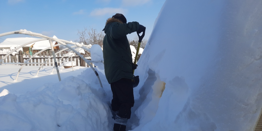 Теплица очень красивая, но... Арка, капля, вагончик, прямостенная - почему производители делают именно такие теплицы и какую выбрать