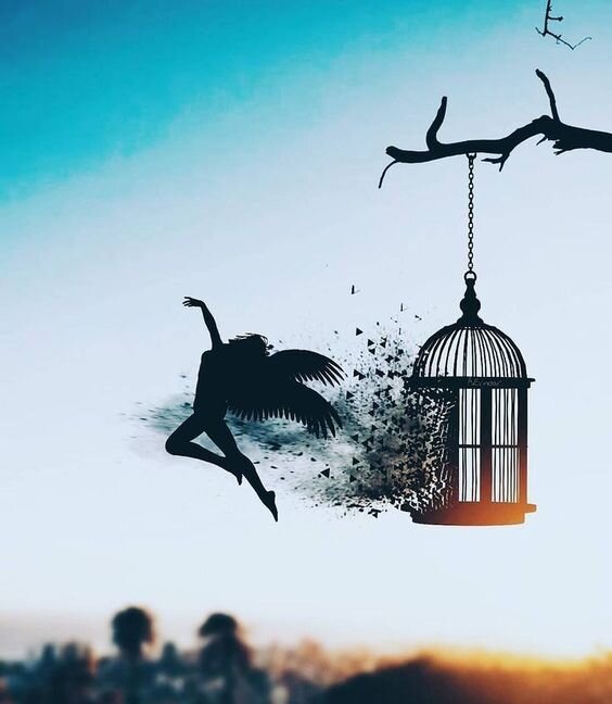 Свобода