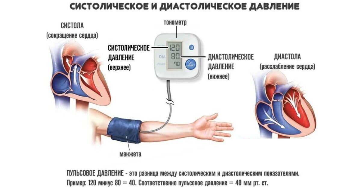 почему низкое почечное давление | Дзен