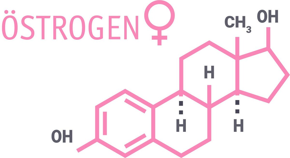 Влияние эстрадиола на репродуктивную функцию