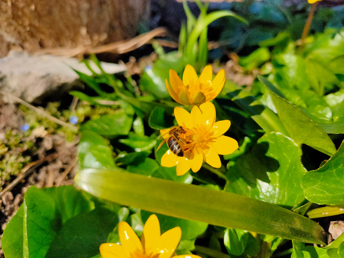 Вот вы удивляетесь, как я так могу подловить момент? Как как... Сижу. Подлавливаю. Жду.