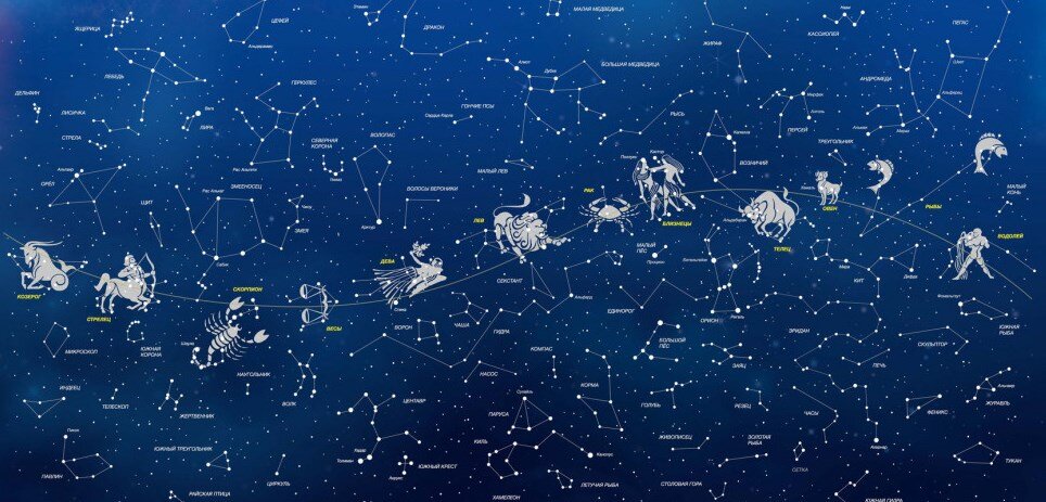 Вот как выглядят полубоги- мухуртики 