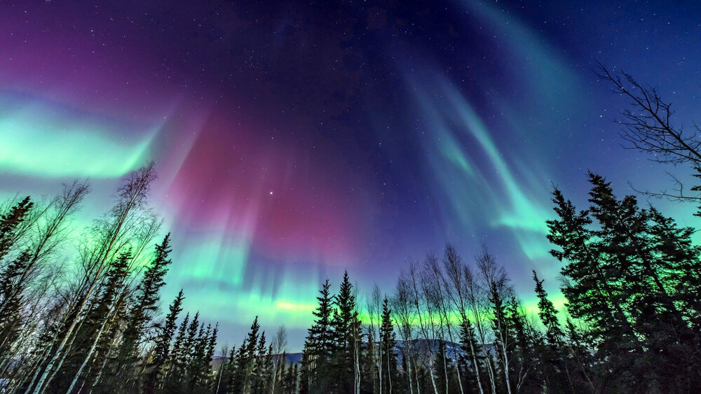    Фото: Shutterstock.com