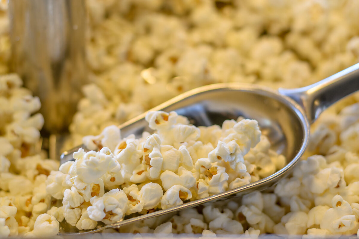 Источник фото: Canva