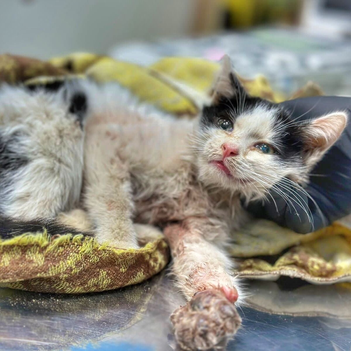 Фото при поступлении...