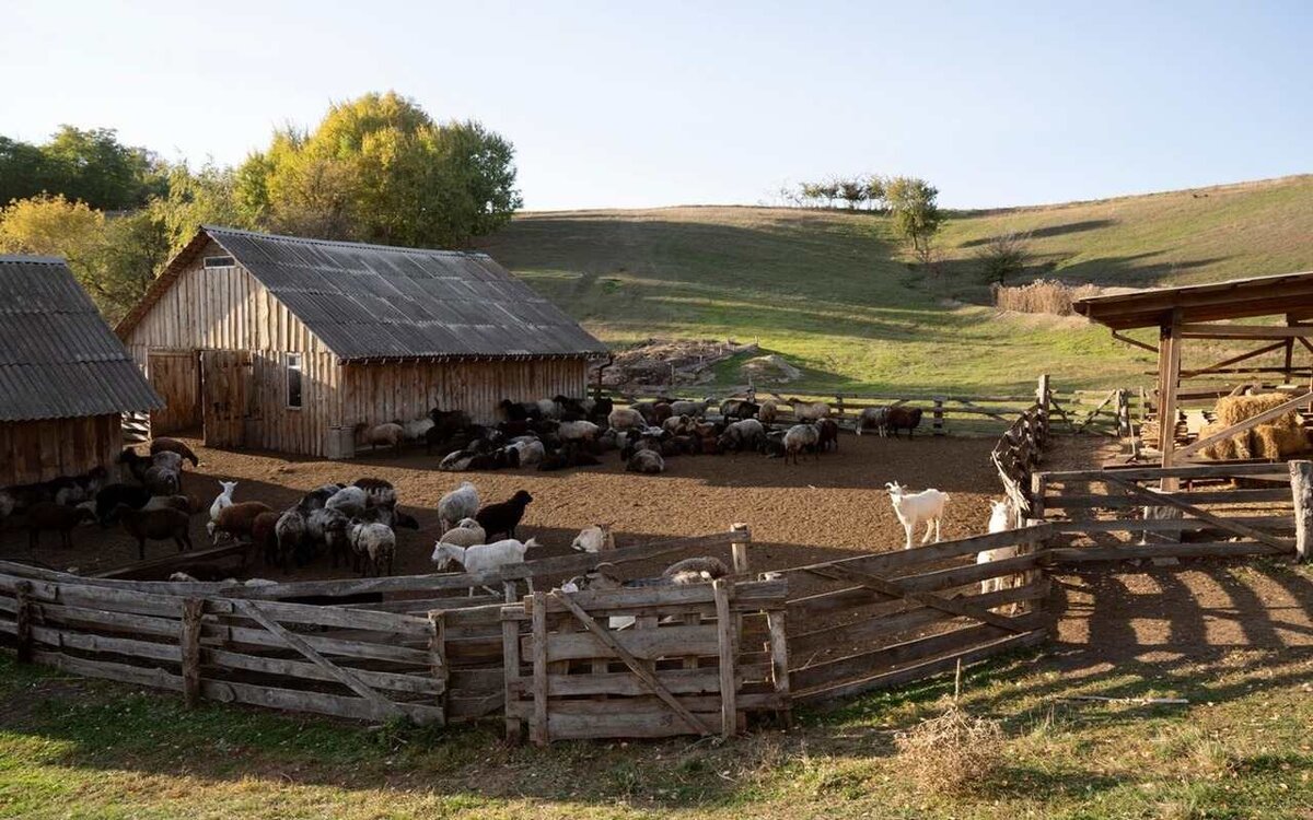    «Это всё равно намного больше, чем приносит наш бизнес», – реакция воронежского фермера на сохранение ключевой ставки Фото с сайта Freepik