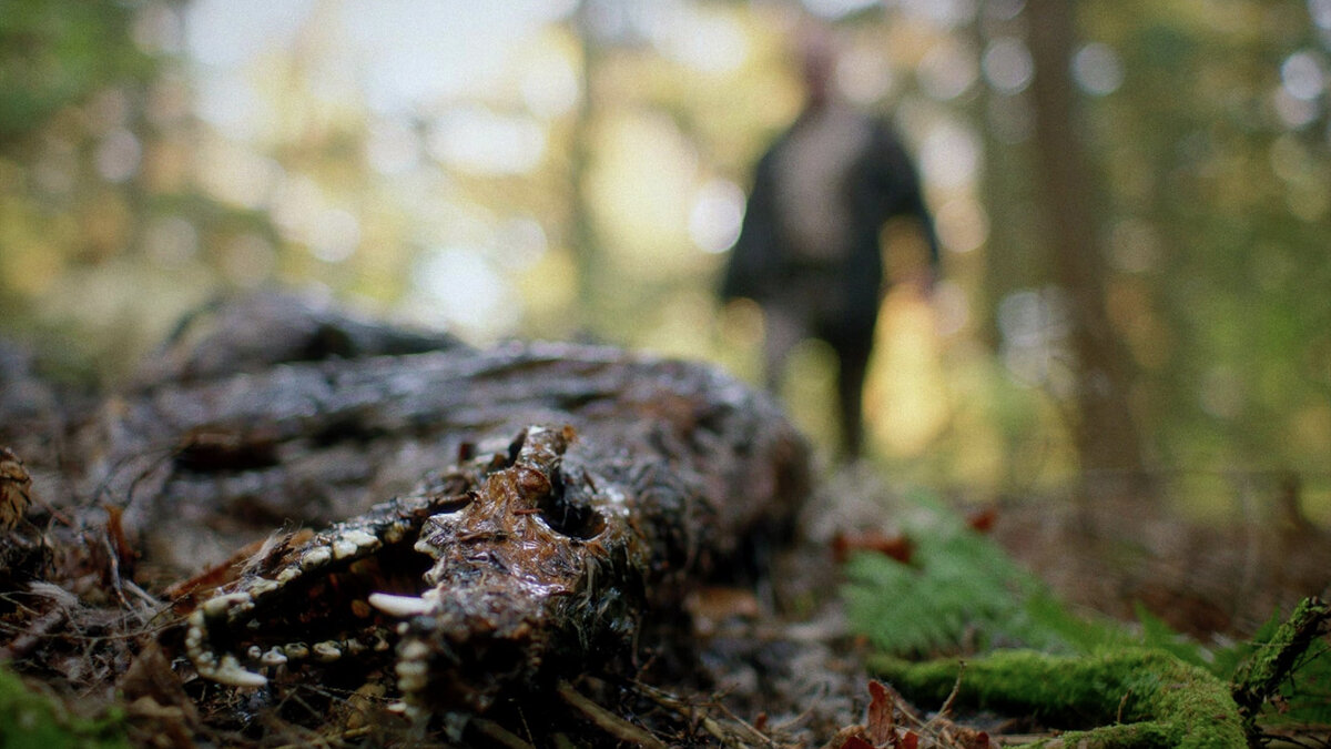 Кадр из фильма "Природа насилия"