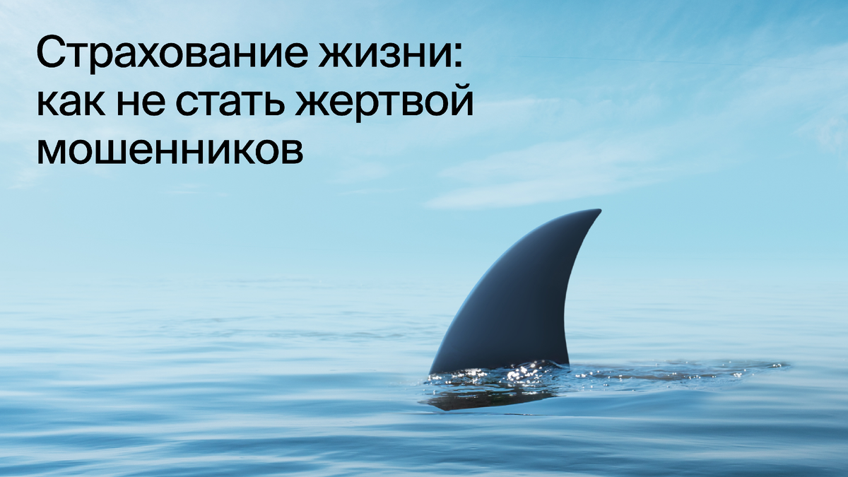 Страхование жизни: как не стать жертвой мошенников | БКС Мир инвестиций |  Дзен