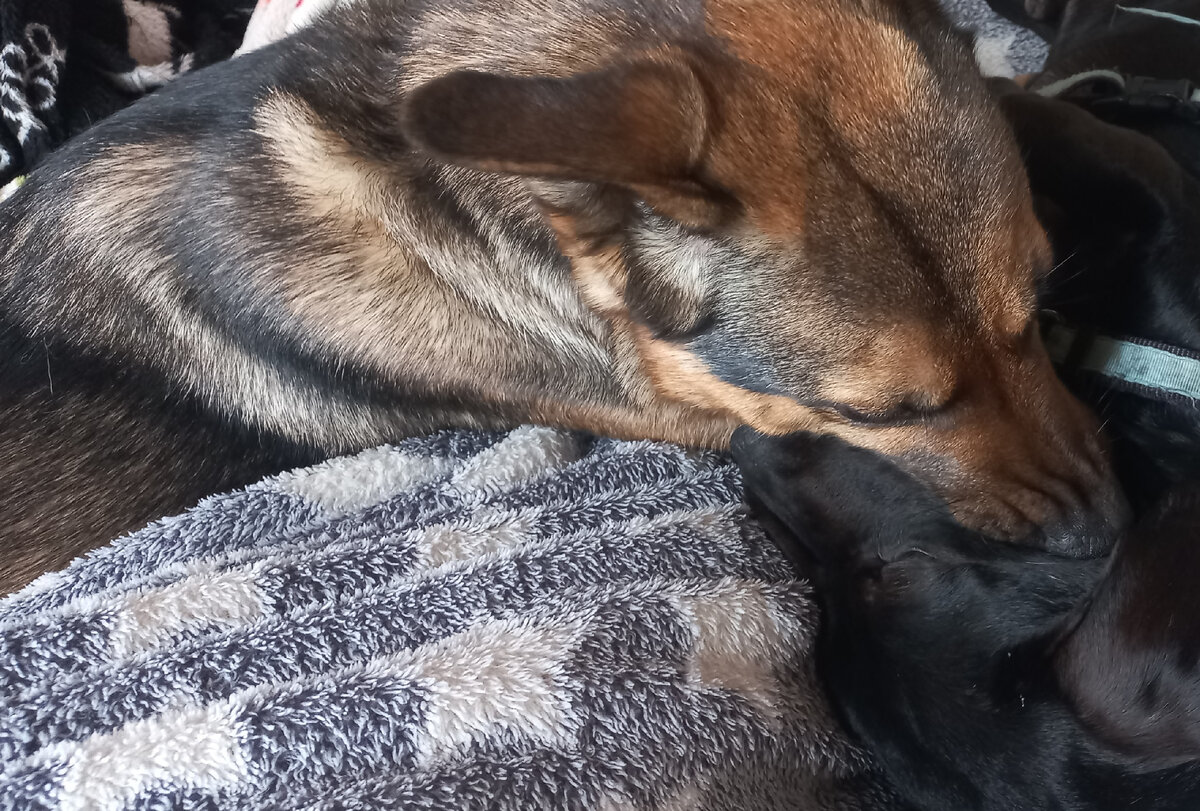 Это и другие фото в статье сделаны автором и принадлежат ему на условиях авторского права