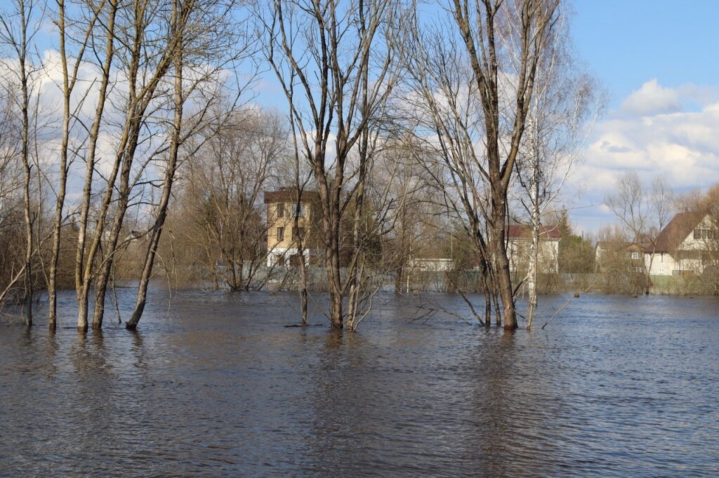 В окрестностях города Белый Тверской области вода уже подходит к домам