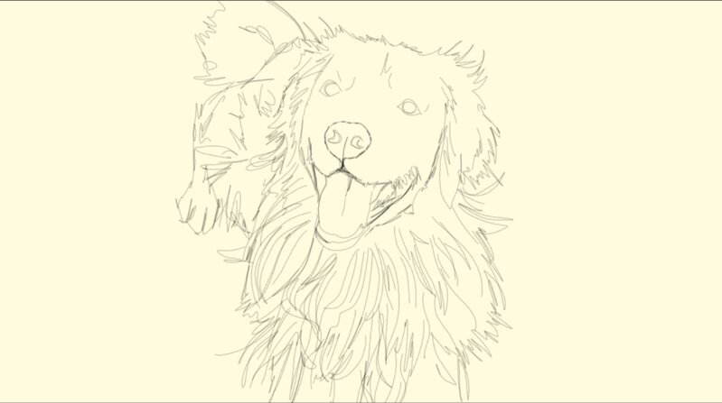 Золотистый ретривер по фото