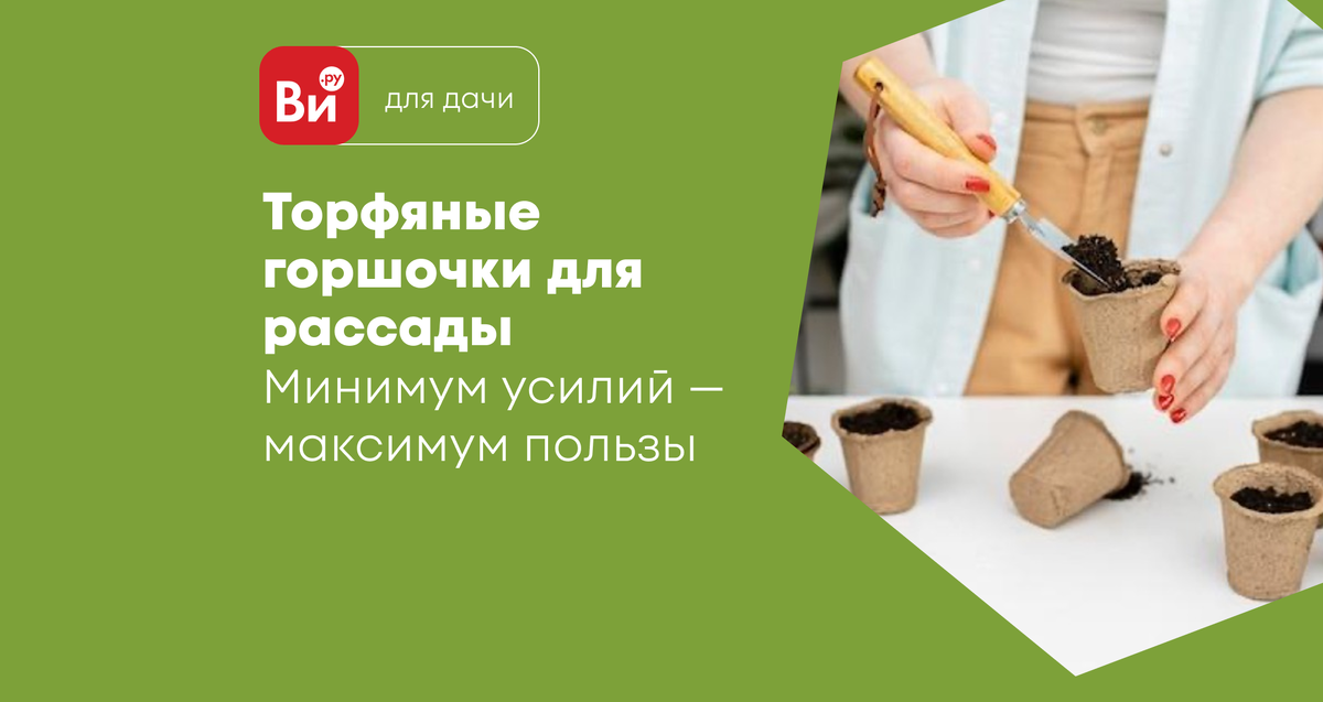 черенкование рассады петунии. торфяные стаканчики для рассады. как сажать в торфяные горшочки. торфяные таблетки для рассады. экоторф горшочки.