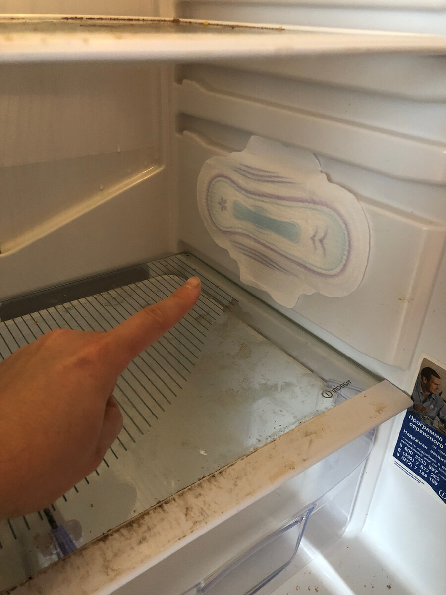  У нас есть холодильник на даче в бане которым мы редко пользуемся. А если пользуемся то для еды собачек. Каши варим им и тд.  и тут я задался вопросом как же убрать запах если лень мыть холодильник ?-2