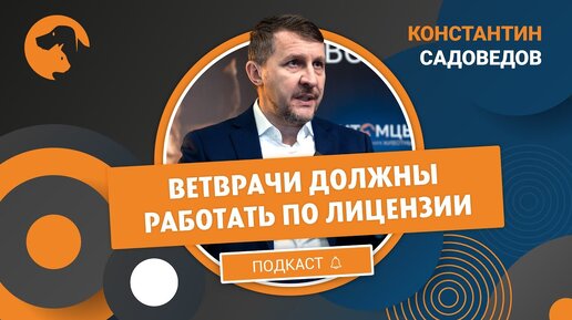 Интервью с Константином Садоведовым