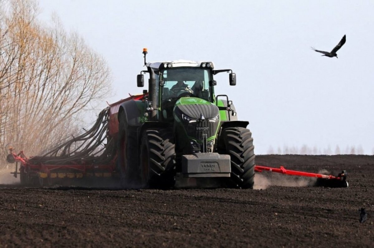    В волгоградском регионе стартовали весенние полевые работы