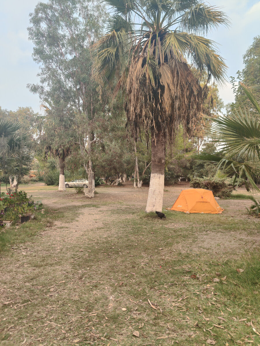 Пальмы, гамак, и даже курицы на свободном выгуле. Слева в цветах стояла клумба с "горшками" из разбитых треккинговых ботинков. Жаль, что я забыл сфоткать эту ландшафтную композицию.