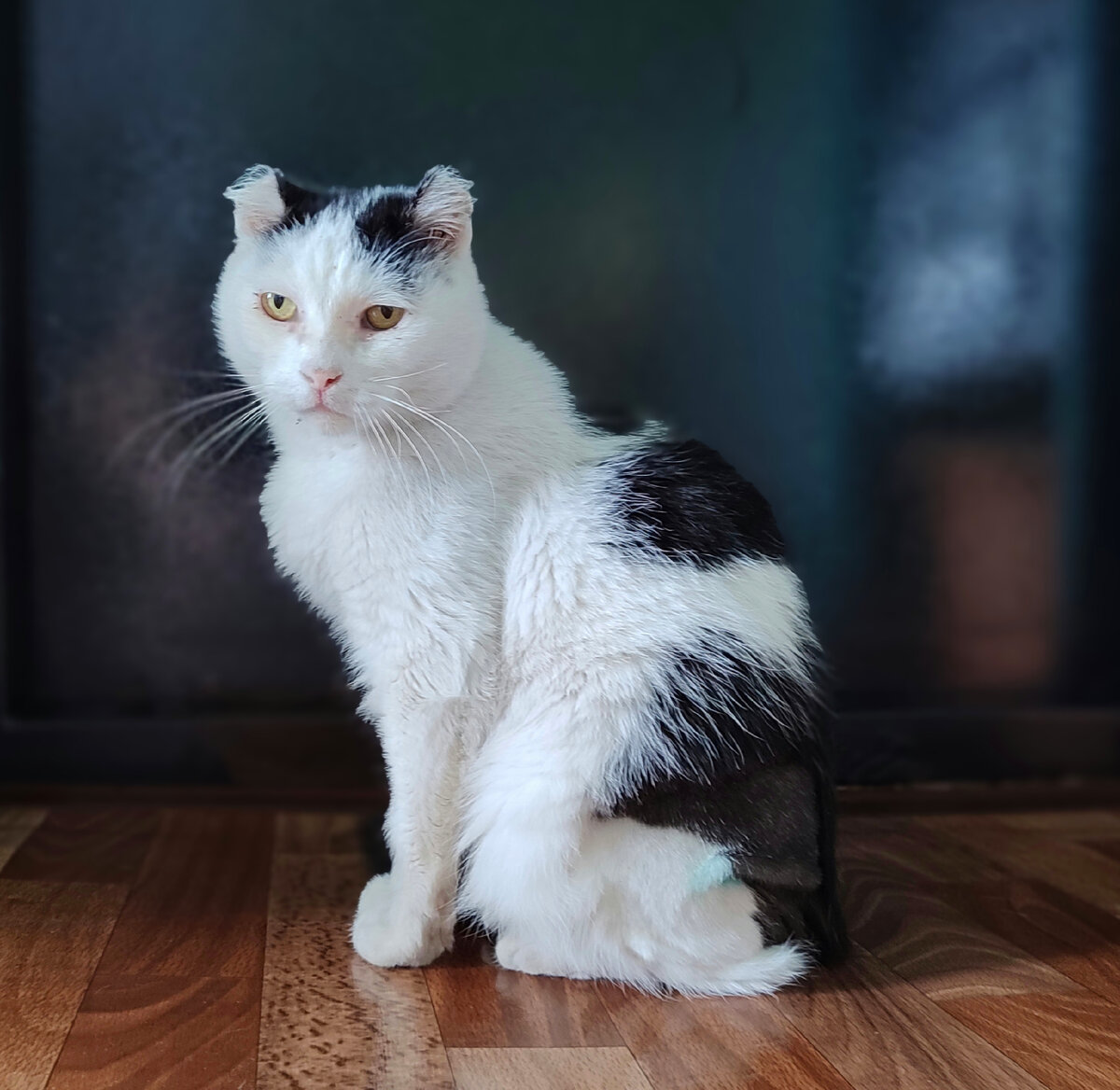 Вот так выглядит весна, которая проходит мимо