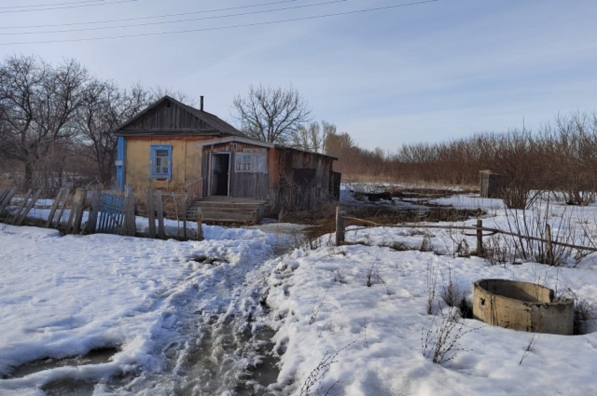 В Алтайском крае обнаружили тела двух мальчиков 4 и 6 лет | АиФ–Барнаул |  Дзен