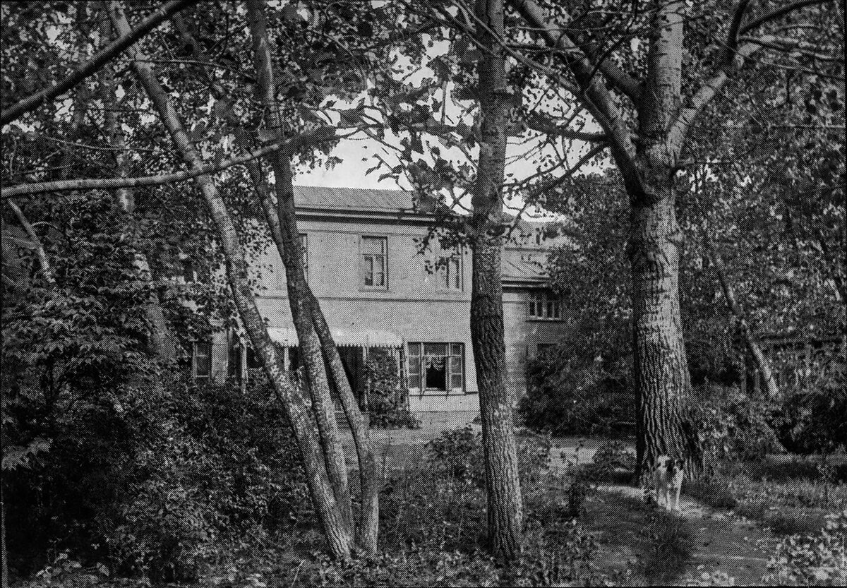    Дом Льва Толстого в Хамовниках. Здесь классик написал более ста произведений. Алиса Алексеева