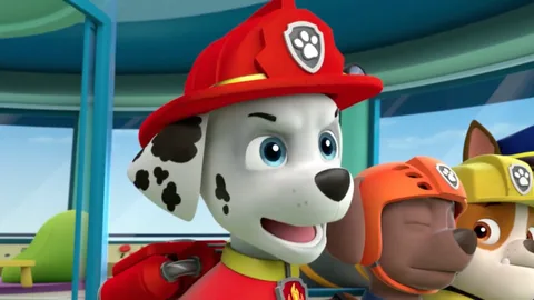 трекер из мультика щенячий патруль. щенячий патруль. суперпатруль. Paw patrol 2013. щенячий патруль 2022.