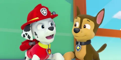 серик и берик. вдовиченков - морской патруль. нтк патруль. пост патруль в истории. рустем омаров патруль.