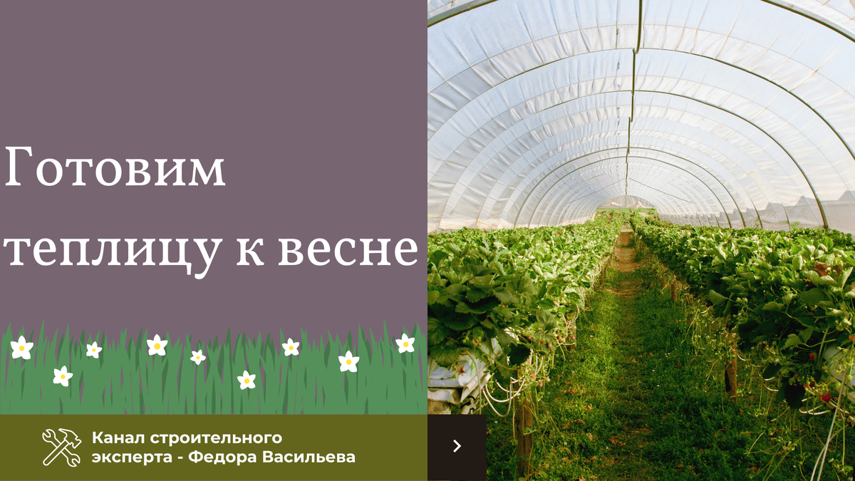 Как подготовить теплицу к весне: 6 важных пунктов | Строительство и ремонт  | Эксперт Федор Васильев | Дзен