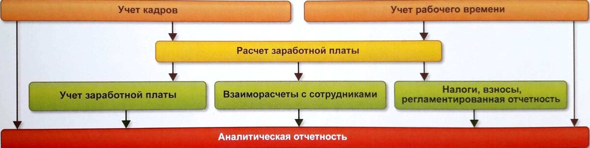 Основные направления кадрового учета на предприятии Мария  📷
