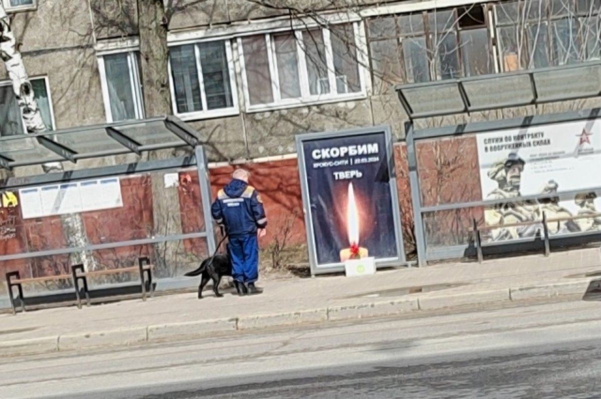    Из-за коробки к баннеру в память о «Крокусе» в Твери съехались спецслужбы