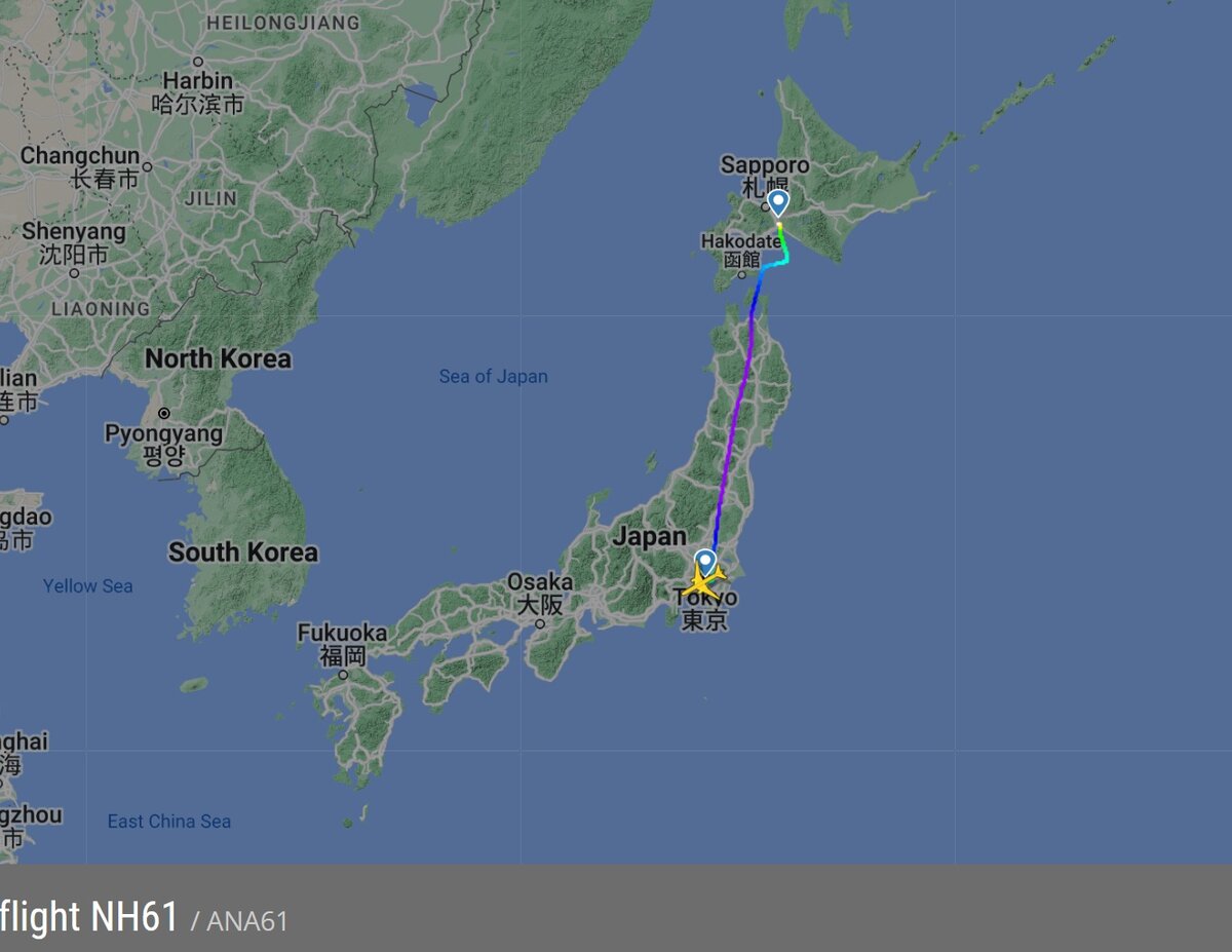 Фото:flightradar24