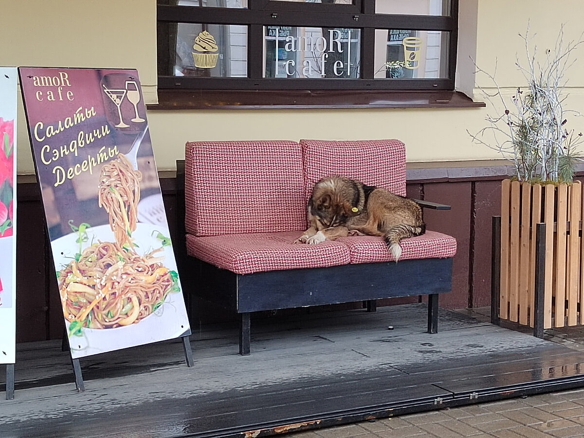 Фото автора канала.