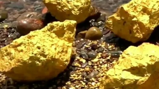 самый большой самородок золота найденный в россии. золото слитки самородки. нашел самородок золота. нашел самородок золота. самородное золото.