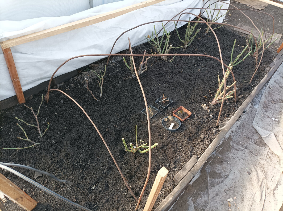 фото середины марта 2023 г, свежего не сделала