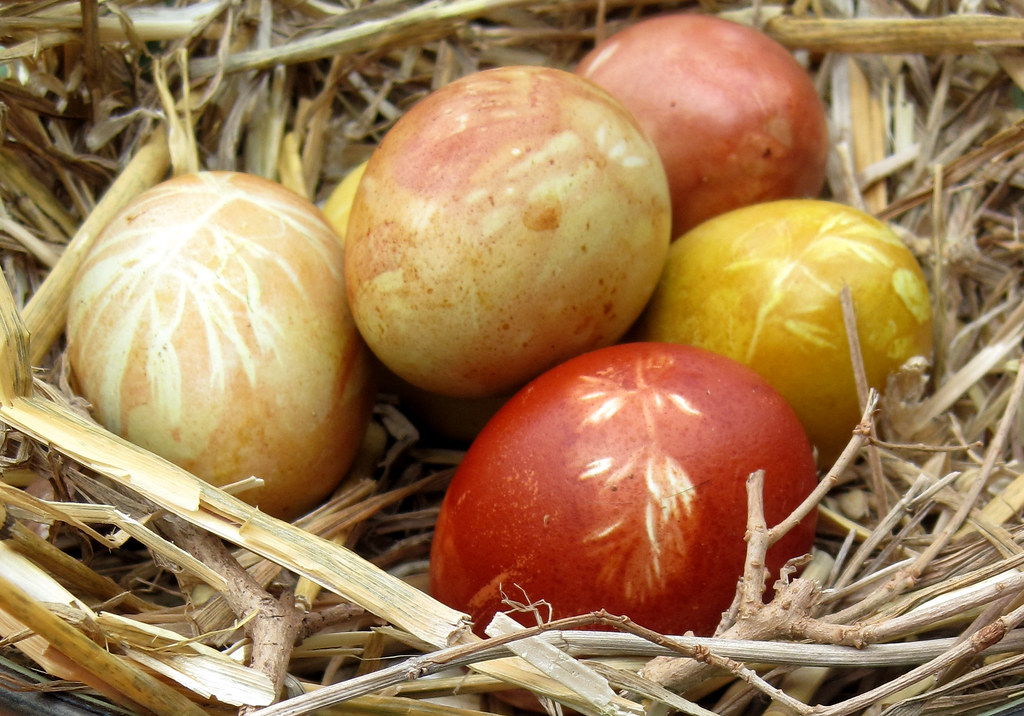 Фото:  somewhereintheworldtoday / Wordpress.org / openverse