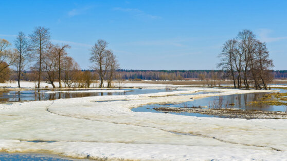    Жителей ряда регионов России предупредили об опасности паводка Ирина Петрова