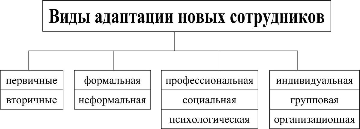 3 вида адаптации по 3 примера