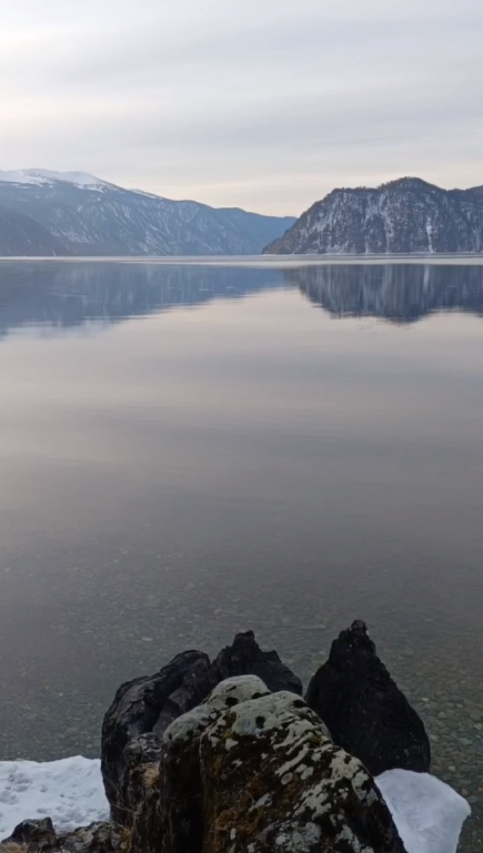    Алтайский заповедник. Источник: скриншоты из видео Романа Воробьёва, Татьяны Клименко, Евгения Веселовского и Александра Лотова
